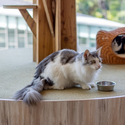 沖山俊樹が撮影した「:albumName」の写真