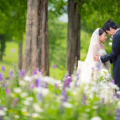 studio HATOYAが撮影した「:albumName」の写真