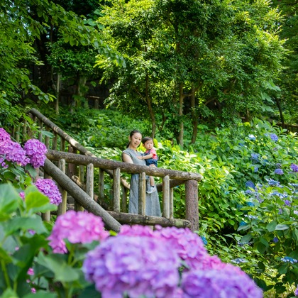 かわもとえつこが撮影した「:albumName」の写真