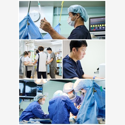 グラフフォトスタジオが撮影したウェディングや家族、ビジネスの写真