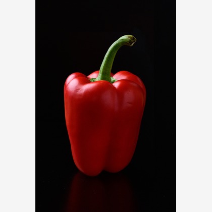 AND KNOTが撮影した「商品・物撮り」の写真