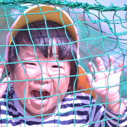 ko1low photographが撮影した「:albumName」の写真