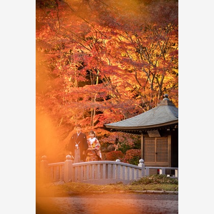 Photo of :albumName taken by THE CLIPS