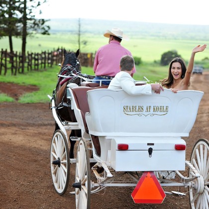 今林 浩一が撮影した「:albumName」の写真