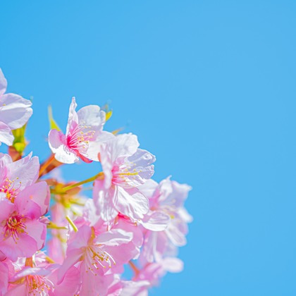 高木勇斗が撮影したその他の写真