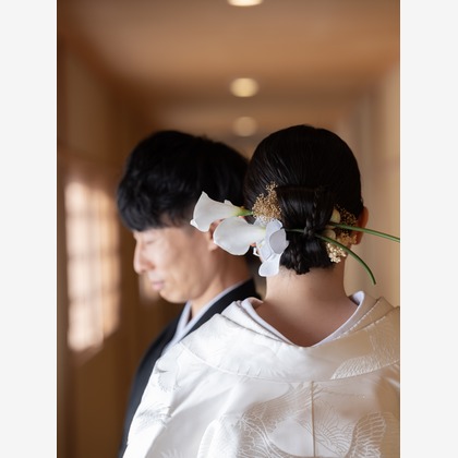 藤原和彦が撮影した「:albumName」の写真