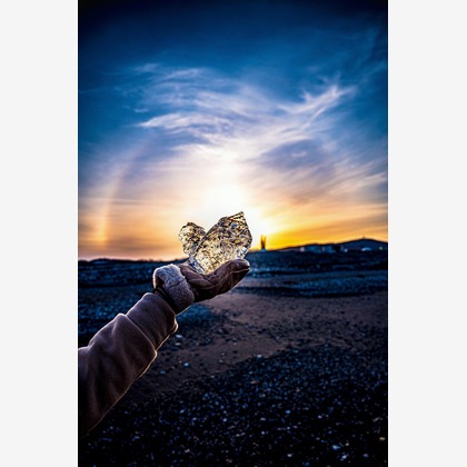 高木勇斗が撮影した「:albumName」の写真