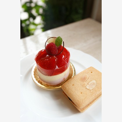 y-photoが撮影した「:albumName」の写真