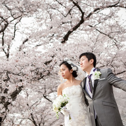 Photo of :albumName taken by Murata Photo Works