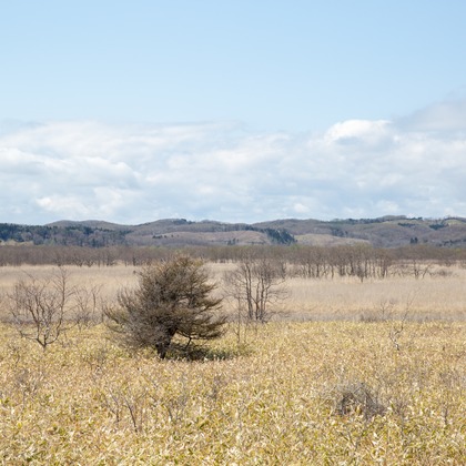 眞田 厚司が撮影したウェディングや家族、ビジネスの写真