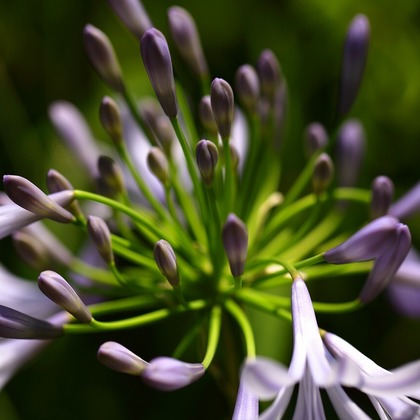 Mid-Village Studioが撮影した商品/物撮りの写真