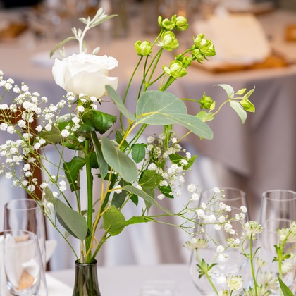 スタジオファンタスが撮影した「:albumName」の写真