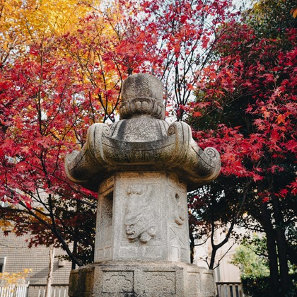 photographerTAKASUが撮影したその他の写真