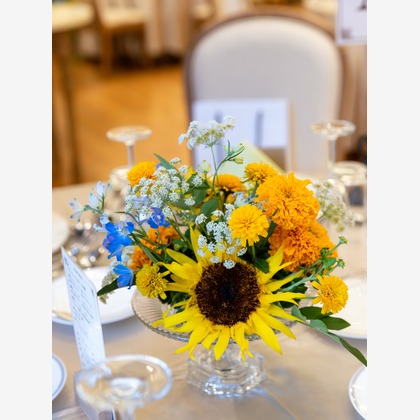 杉安写真事務所が撮影した「:albumName」の写真