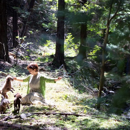 LUCE PHOTO WORKSが撮影したウェディングや家族、ビジネスの写真