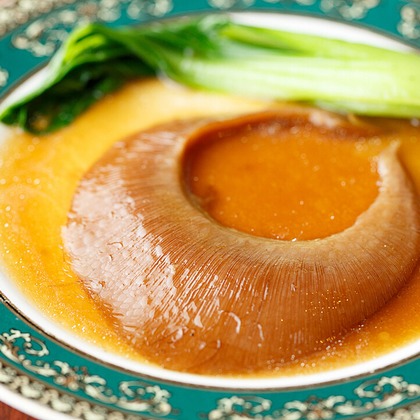 合同会社ワンダースリーが撮影した「:albumName」の写真