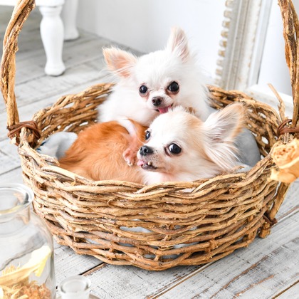 Photo of  taken by xxx