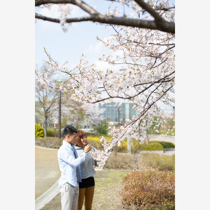 studio HATOYAが撮影した「:albumName」の写真