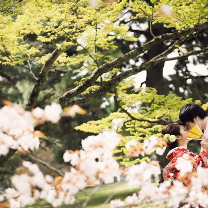 elle pupaが撮影した「:albumName」の写真