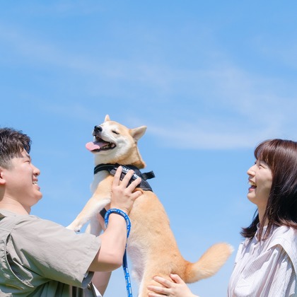 Photo of couple photo shoot taken by 高夏写真店