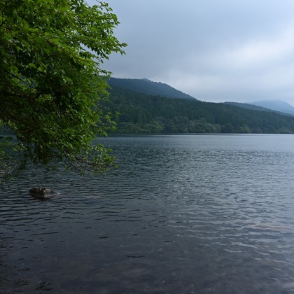 あまかど スタジオが撮影したその他の写真