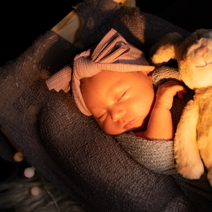 岩坪眞一郎が撮影した「:albumName」の写真