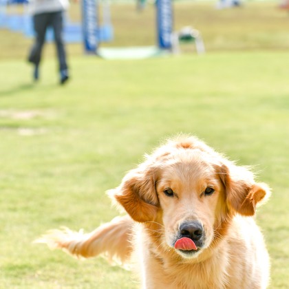 スタジオファンタスが撮影した「:albumName」の写真