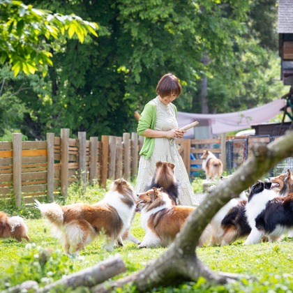 LUCE PHOTO WORKSが撮影したウェディングや家族、ビジネスの写真