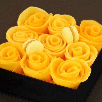 森安　照が撮影した「:albumName」の写真