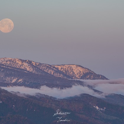 Shintaro Tsushimaが撮影した店舗/オフィス/サロン撮影の写真