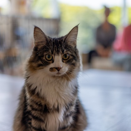 沖山俊樹が撮影した「:albumName」の写真