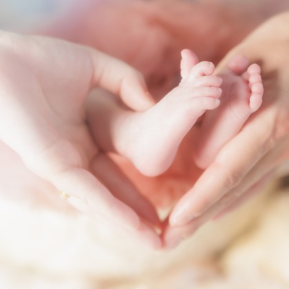 合同会社PHOTO FACTORY LARが撮影した「:albumName」の写真