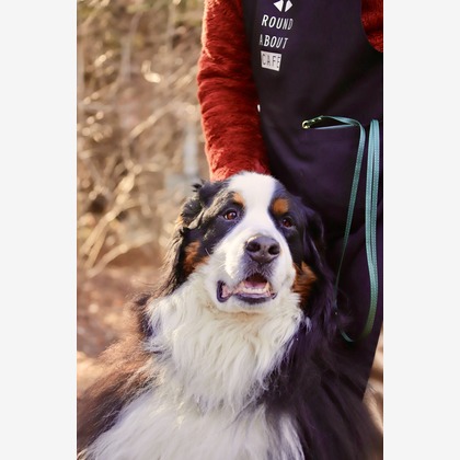 TSD officeが撮影した「:albumName」の写真