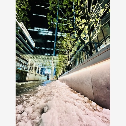 Takeuchi Shunsukeが撮影したその他の写真