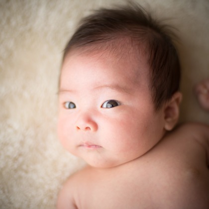 竹部 祐樹が出張撮影したジェスチャー, 適応, 生物などが写った「ベビーフォト＠長崎市」の家族写真