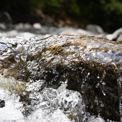 細田　恭平が撮影したその他の写真