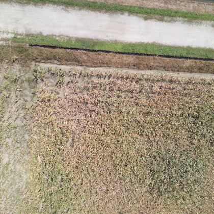 アナハイムエレクトロニクスが撮影したその他の写真