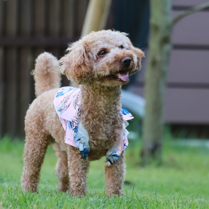 外川博己が撮影したその他の写真