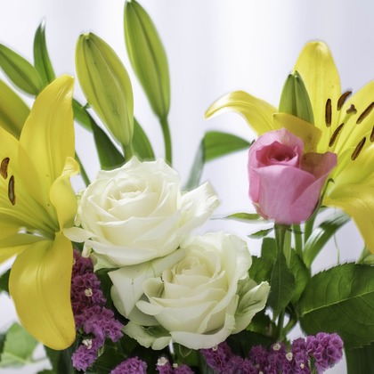 ミヤタカズコが撮影した「:albumName」の写真