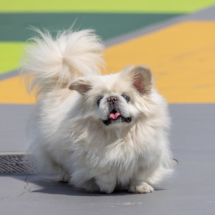 沖山俊樹が撮影した「:albumName」の写真