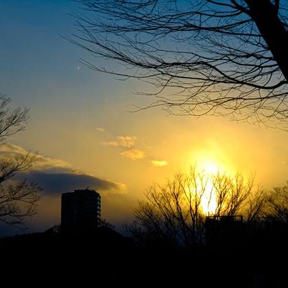 KotobukiPhotosが撮影した「:albumName」の写真