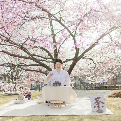 光画堂スタジオが撮影したウェディングや家族、ビジネスの写真