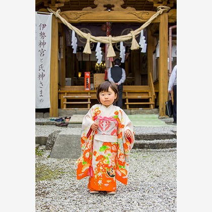 waka photoが出張撮影した自然の中の人々, 植物学, 植物が写った七五三フォトの写真
