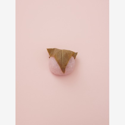 studio飛花が撮影した「飲食店さま撮影」の写真