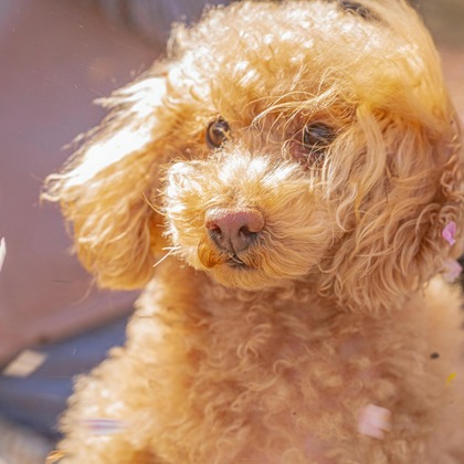 高木勇斗が撮影したその他の写真