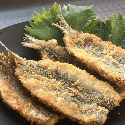 スタジオエゴイストが撮影した「:albumName」の写真