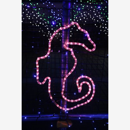 ＮＫ フォトエージェンシーが撮影したその他の写真