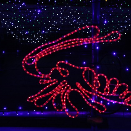 ＮＫ フォトエージェンシーが撮影したその他の写真