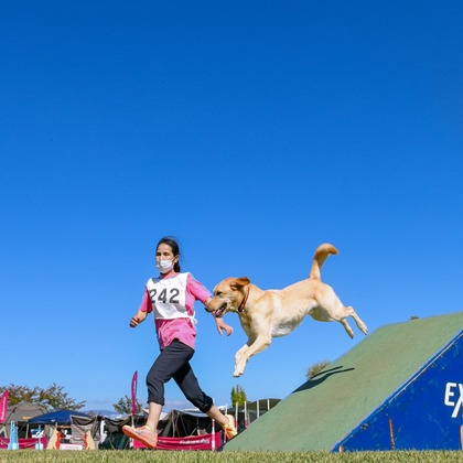 スタジオファンタスが撮影した「:albumName」の写真