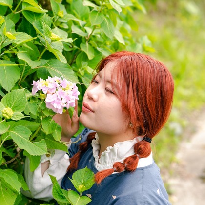 蓬台祐希が撮影した「:albumName」の写真